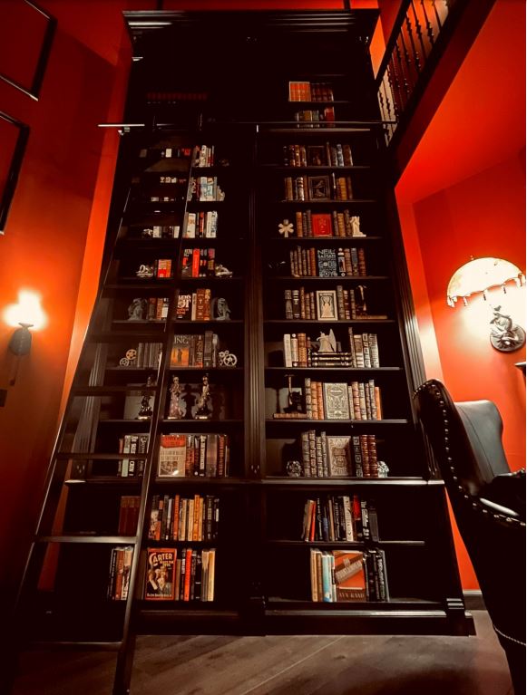high-end library with ladder